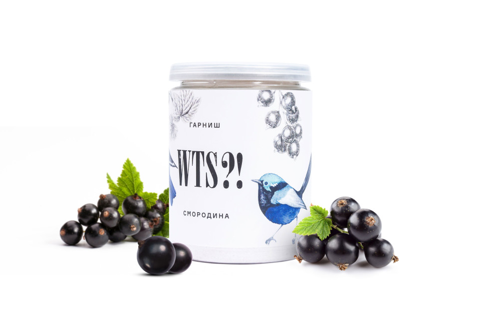 1 Гарниш Черная смородина 80 г WTS?!